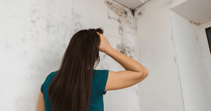 Schimmel op het plafond