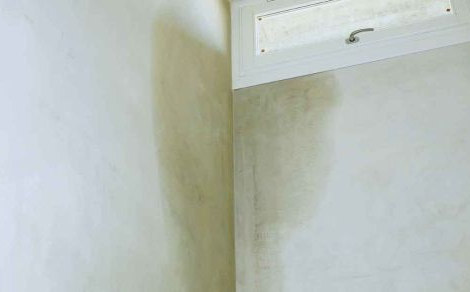 Vochtplek op de muur ten gevolge van doorslaand vocht 