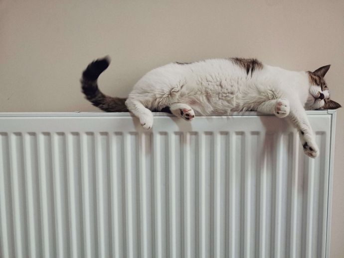 Kat ligt op de verwarming  